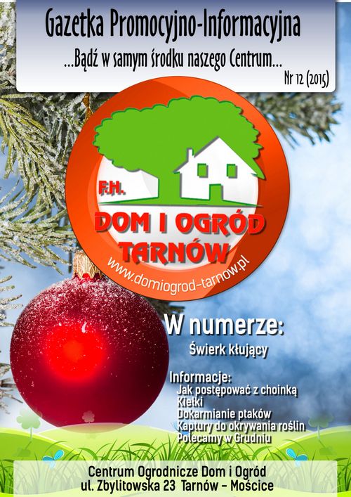 Gazetka Promocyjno-Informacyjna - 12/2015